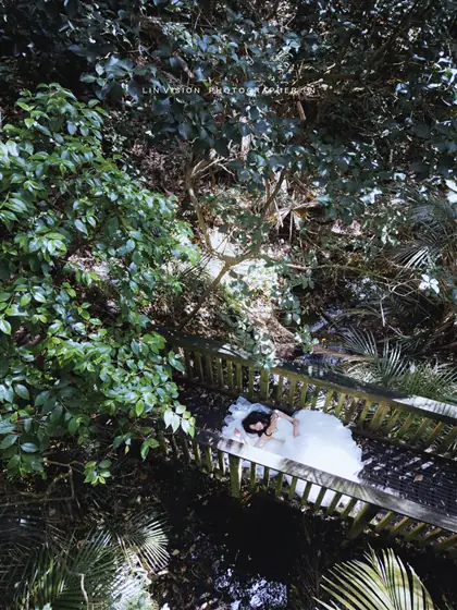 Lin’s Vision — Forest & gardens photography